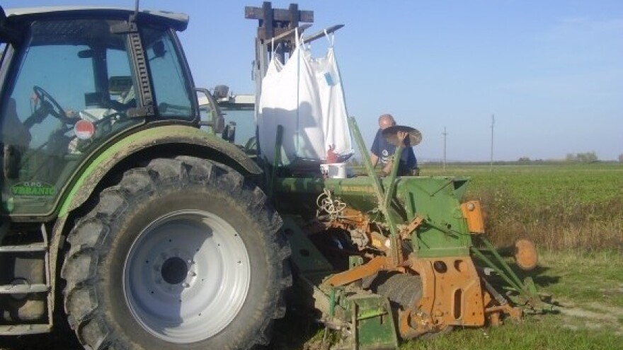 Napušta li nas naša najvažnija krušarica?