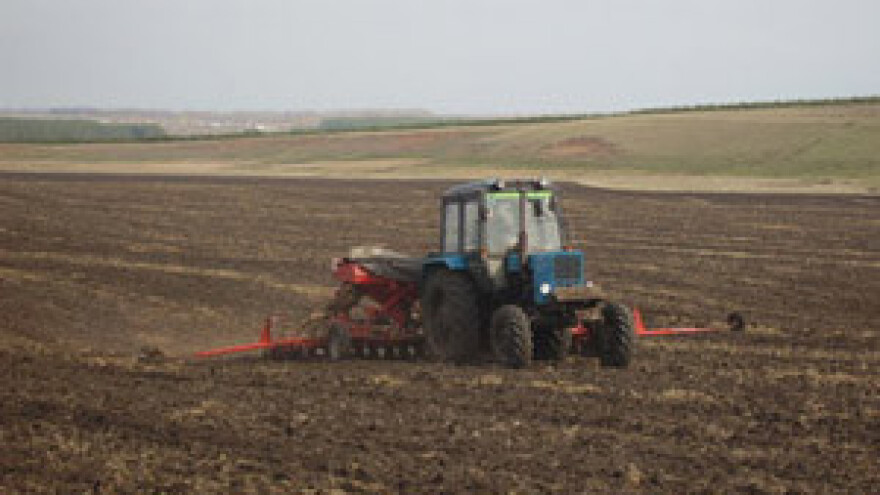 Kreće sjetva, gnojivo (ne) poskupljuje