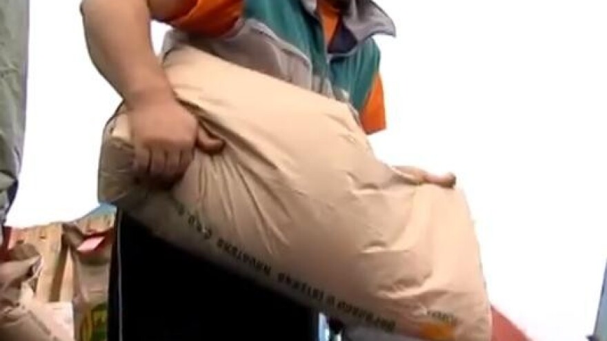 Sijanje sijačicom visoke preciznosti na Belju