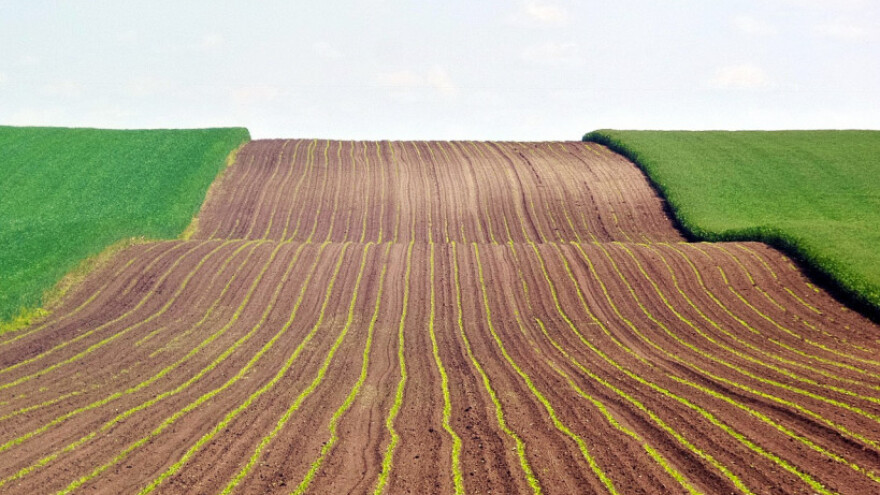 Temperature ispod prosjeka, povoljno za sjetvu