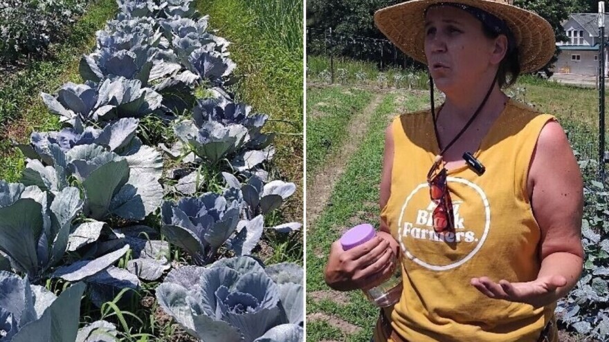 Agroklub u Sjevernoj Karolini: Kako žive njihovi proizvođači zdrave hrane?