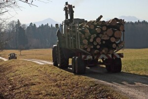 Gospodarenje šumama Sjevernog Velebita