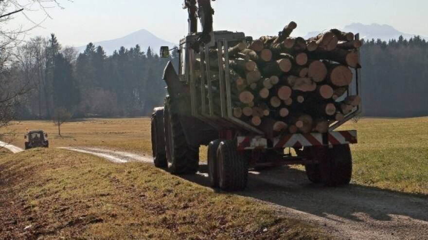 Gospodarenje šumama Sjevernog Velebita