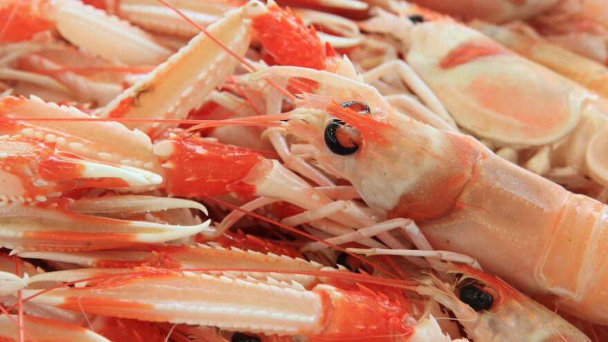 S tržišta povlače nizozemske škampe