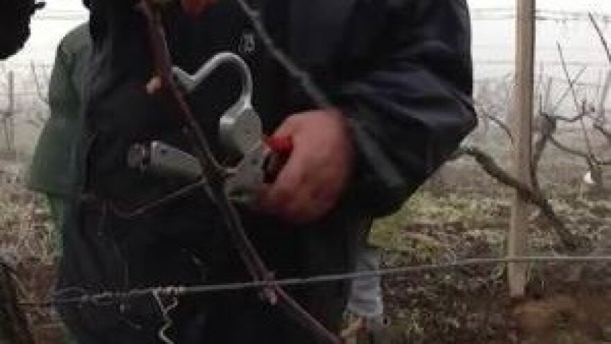 Bez tehnologije proizvodnja nekonkurentna