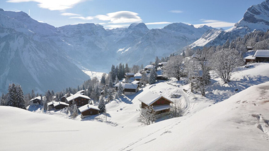 Najstarije stablo na Balkanu ili skijalište?