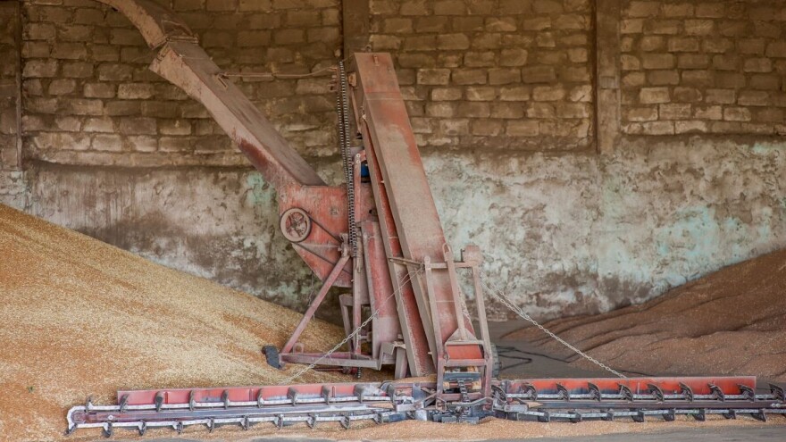 Ukrajina sve konkurentnija na tržištu žitarica, Rumunija postavlja novi rekord u izvozu suncokretovog ulja