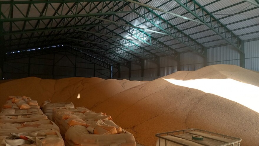 Robne rezerve izlaze sa cenom od 40 dinara za pšenicu?