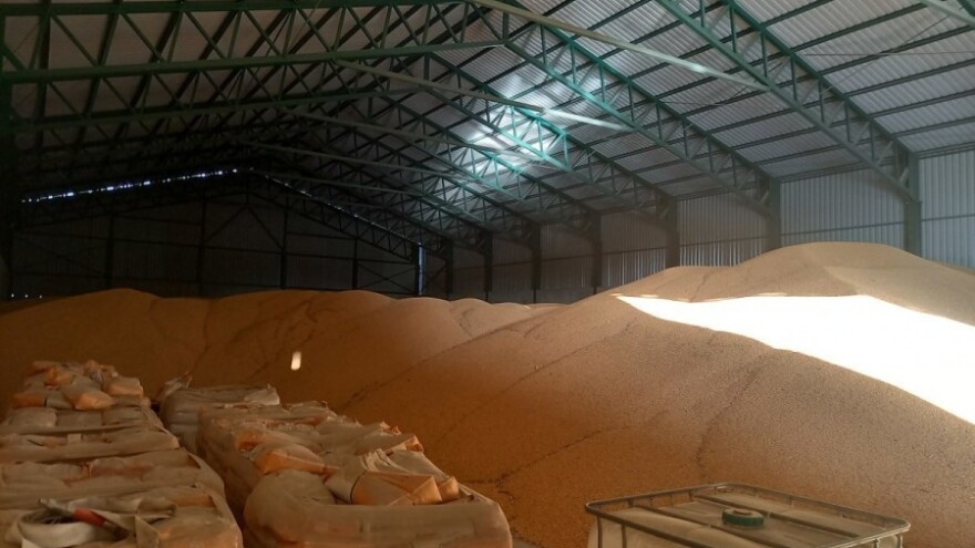 Robne rezerve Srbije definirale otkupnu cijenu pšenice