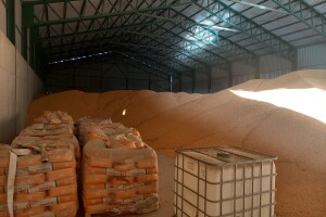 Robne rezerve završile otkup pšenice - mešetari su htjeli profitirati?