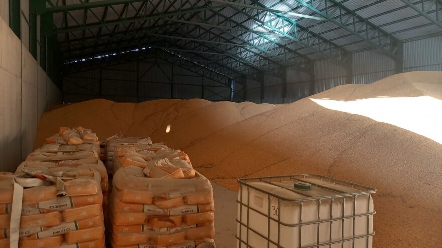 Robne rezerve završile otkup pšenice - mešetari su htjeli profitirati?