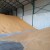 Robne rezerve kupuju 131.000 tona pšenice za 40 dinara kilogram