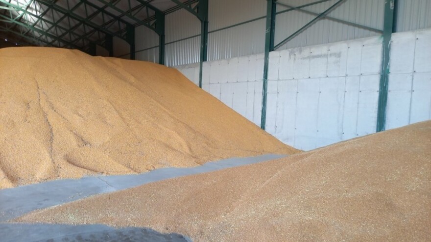 Robne rezerve Srbije kupuju 131.000 t pšenice po 0,65 KM/kg