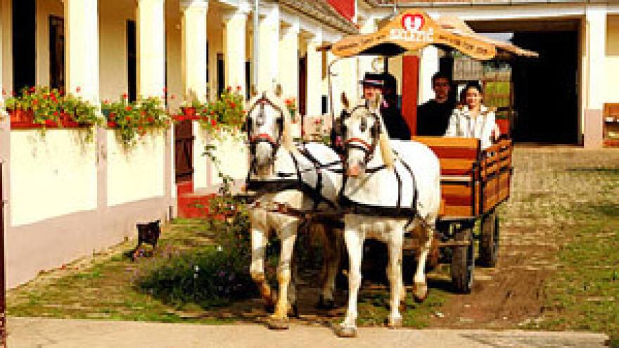 Deset godina prvog baranjskog "cimerfraja"