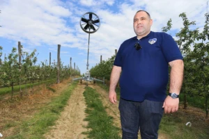 Vjetrenjača u Aljmašu otjerala mraz i spasila urod