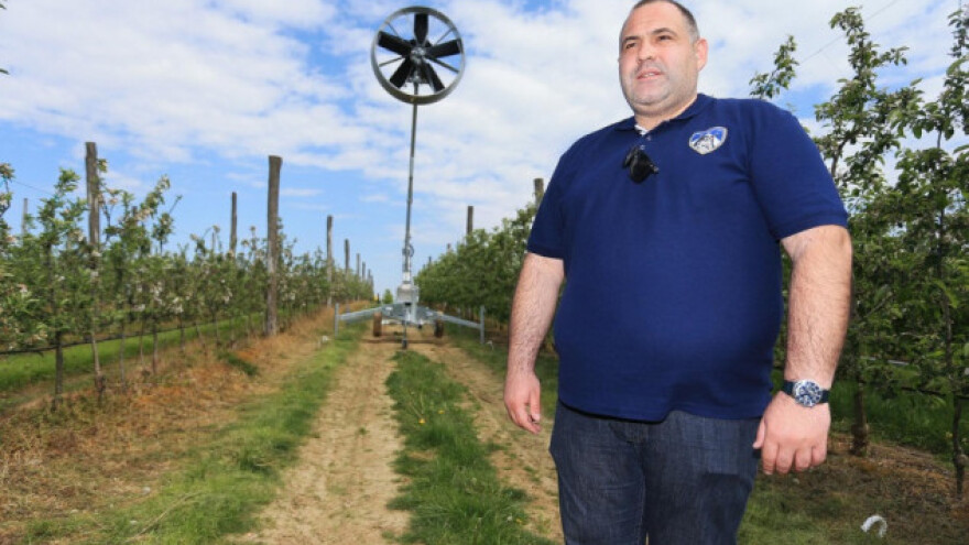 Vjetrenjača u Aljmašu otjerala mraz i spasila urod