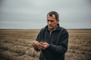 Skočila cijena pšenice na europskom tržištu