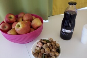 Školama i vrtićima podijelili 200 kg domaćeg meda, 70 kg suhih smokava, 130 kg jabuka...
