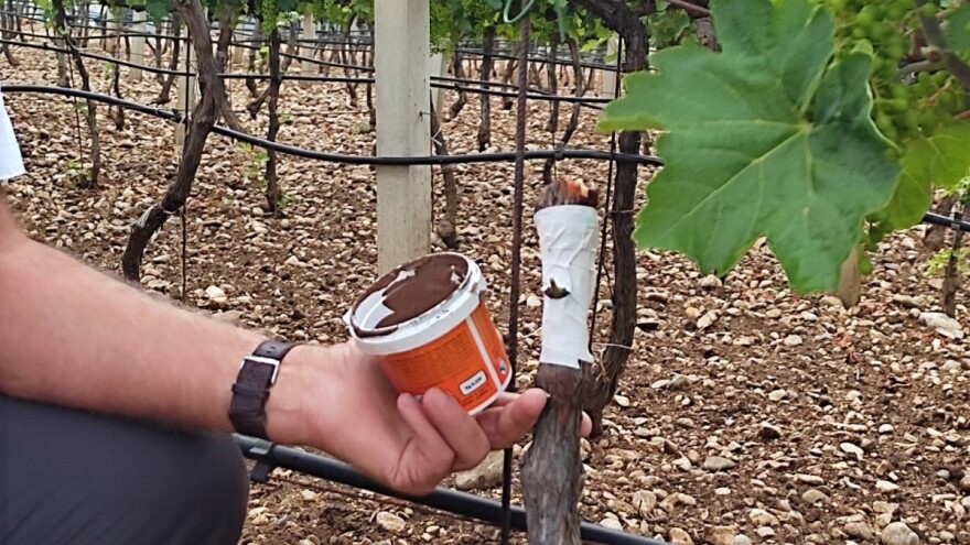 Besplatna škola kalemljenja - prijave u toku