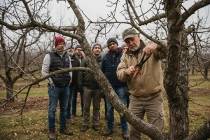 Škola rezidbe voćaka za požeško-slavonske voćare