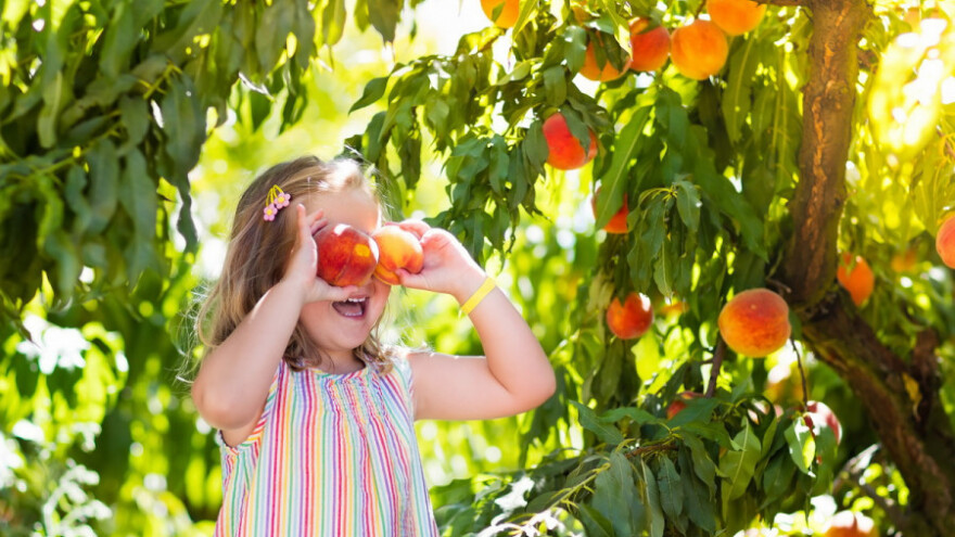 Školska shema: Još 7 dana za prijavu
