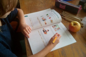 1.119 škola sudjeluje u Školskoj shemi