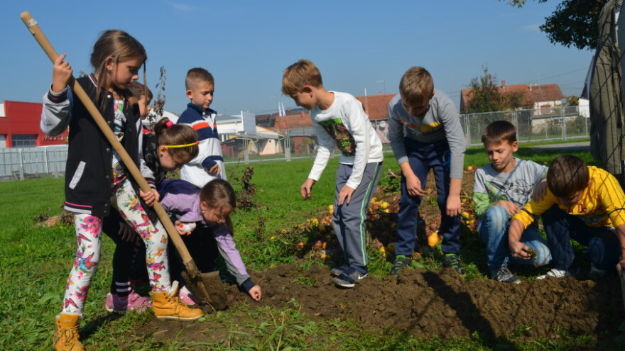 Školski vrt potiče pamćenje i stvara ekološki osviještene ljude