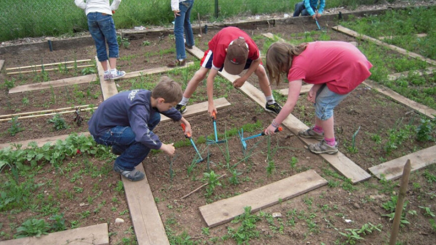 Građanska akcija pokrenula vrtlarenje u školi