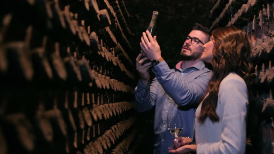 Umjetnost putovanja: turistički potencijali Slavonije, Baranje i Srijema u novom promotivnom videu