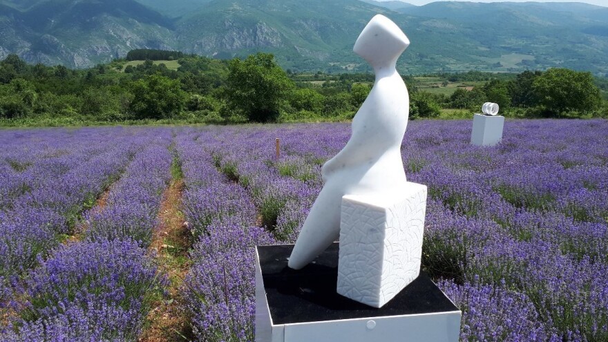 Kako su skulpture "procvetale" u polju lavande?