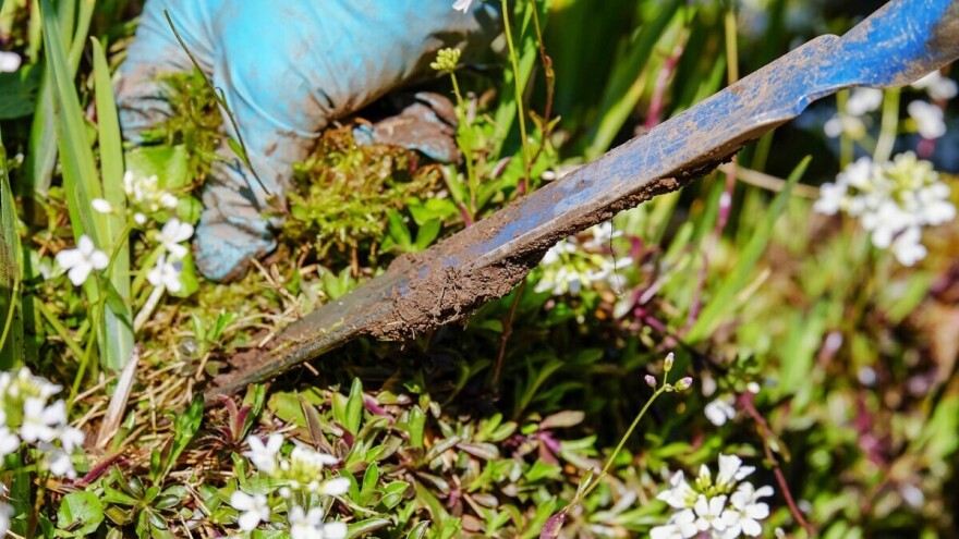 12. međunarodni znanstveno-stručni skup "Poljoprivreda u zaštiti prirode i okoliša"