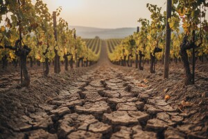 Skup o klimatskim pomjenama