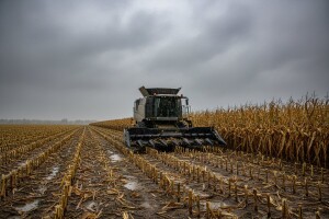 Slaba ponuda pšenice i soje