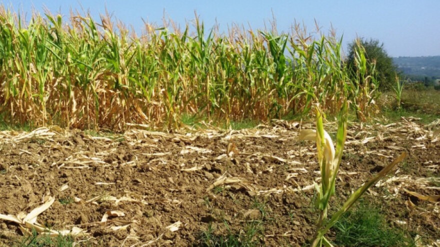 Ni u suši država nema sluha za seljaka