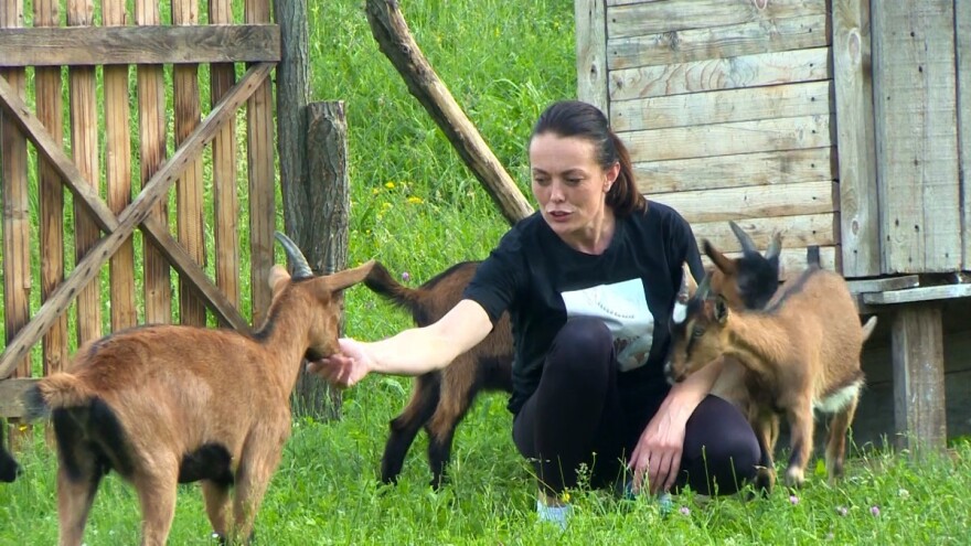 Puno dvorište domaćih životinja - idilična slika sela kod Višegrada