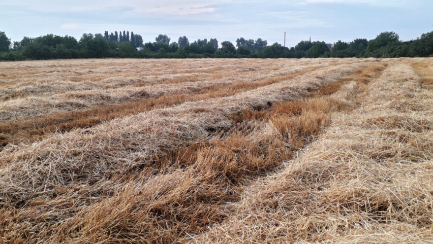 Svu slamu ostaviti na polju? Koje su prednosti i nedostaci?