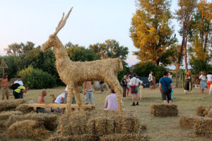 12. Festival Slama - land art