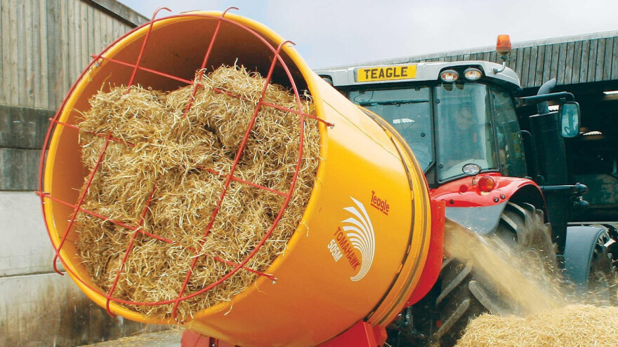 Sjeckana slama u hranidbi goveda povećava količinu mlijeka i postotak mliječne masti