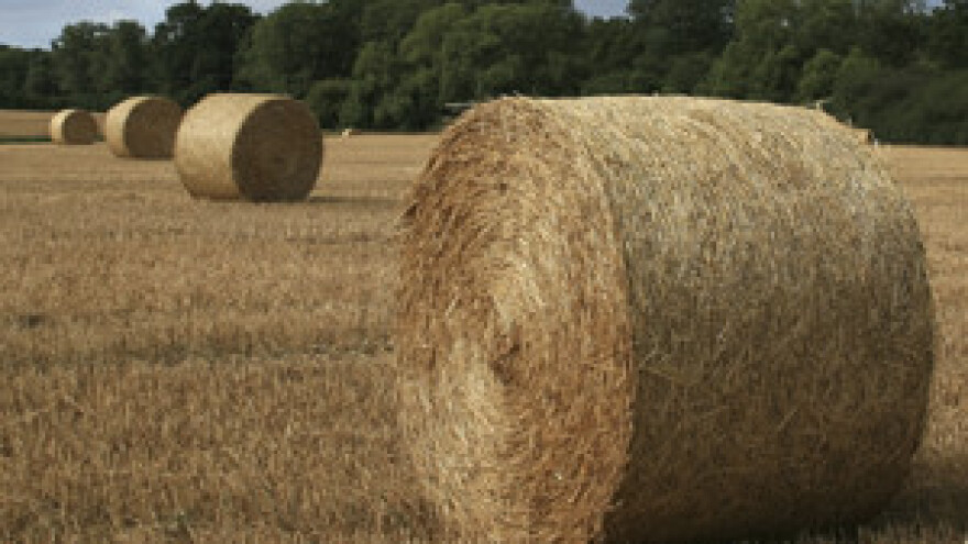 Produžen rok za podnošenje prijava za Mjere 101 i 103 IPARD programa