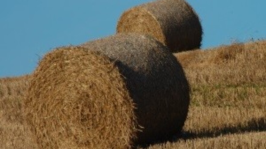 HUS podržava prijedlog zakona o poljoprivrednom zemljištu