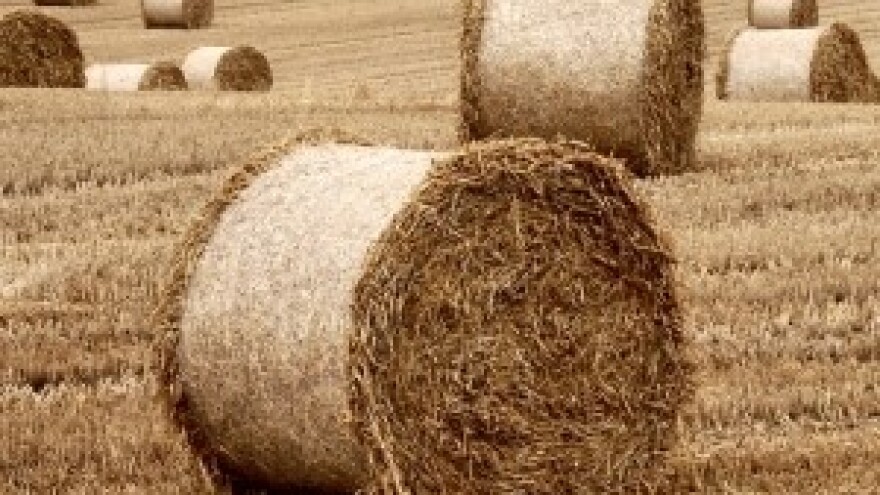 Konferencija mladih poljoprivrednika u Križevcima