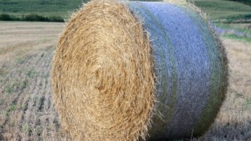 IPARD natječaji odgođeni do daljnjeg