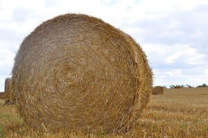Poljoprivrednicima još uvijek loša situacija!