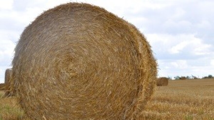 Poljoprivrednicima još uvijek loša situacija!