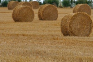 Jakovina: Poljoprivredi čvrsta trojka