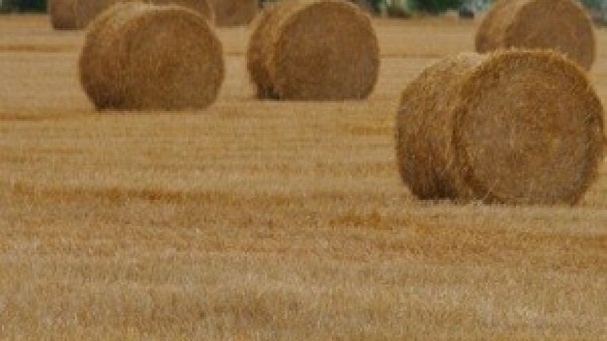 Jakovina: Poljoprivredi čvrsta trojka