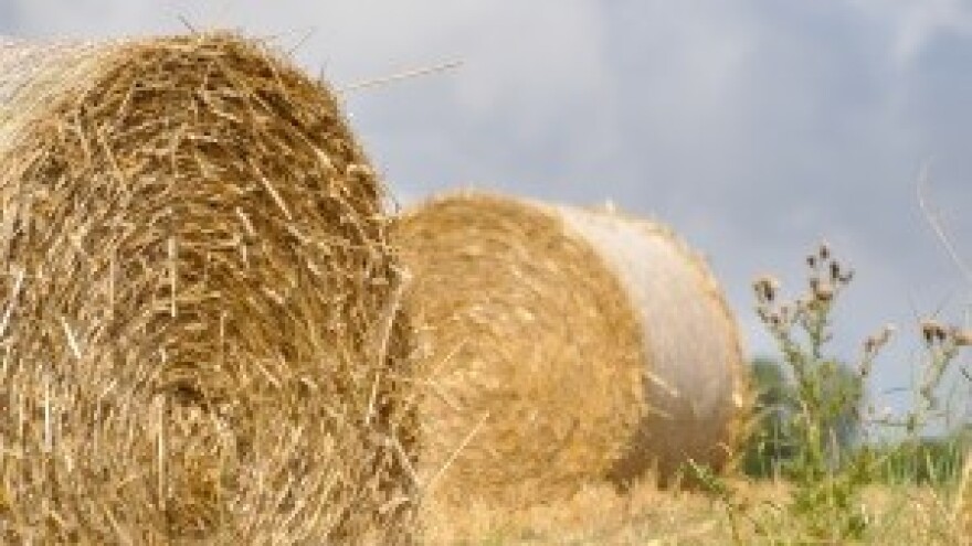 Udruge seljaka traže smjenu ministra Jakovine