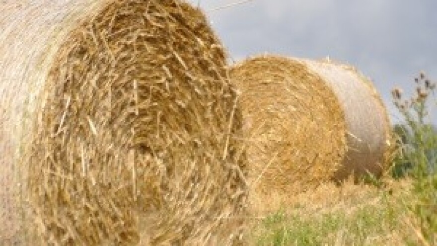 Članice moraju vratiti 180 milijuna eura pomoći poljoprivredi