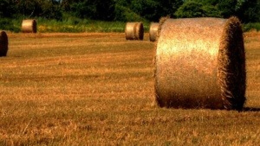 Formirati jedinstveni stožer seljačkih udruga
