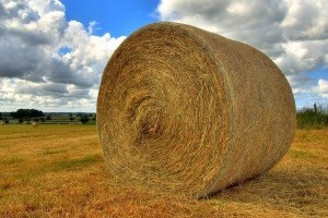 Da li je prekršen Zakon o potporama?